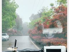 -铁山坪森林公园