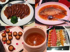 -诺莱仕游艇会