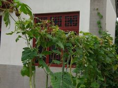 -杨家埠民间艺术大观园