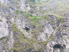 -太鲁阁公园