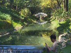 -北坞公园