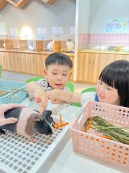 -Moni星球萌宠·小马宝莉·灵蛇·高端高阶全萌宠互动体验俱乐部(红豆国际广场店)