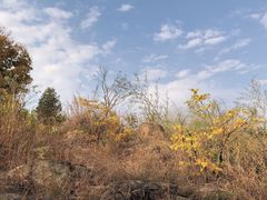 -白马涧龙池景区