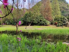 -贵阳市花溪国家城市湿地公园