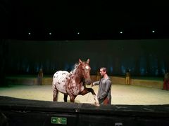 -cavalia·舞马