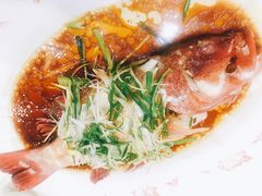 东星斑-凤城礼记鱼翅海鲜酒家(新马路总店)