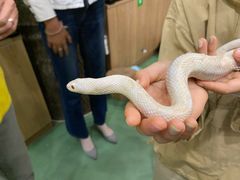 -藦茜花园宠物主题亲子互动体验馆(国顺东路店)