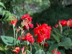 -天鹅湖体育公园