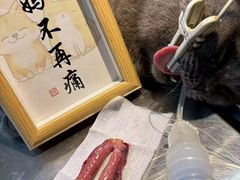 -瑞派旺宝宠物医院·犬猫全科综合·尿道专科(莲兴院)