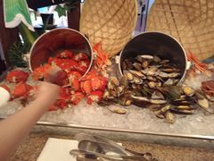 -视界美食自助餐厅·石家庄希尔顿酒店