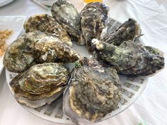 水煮生蚝-渔民船说·北塘海鲜·天津菜·海肠捞饭(北塘古镇店)