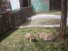 -鄂尔多斯野生动物园