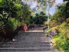 -仙岳公园