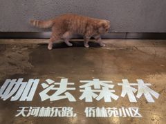 -咖法森林·咖啡  酒吧(天河店)