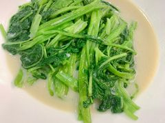 腐乳浸空心菜-富豪酒家(正大广场店)