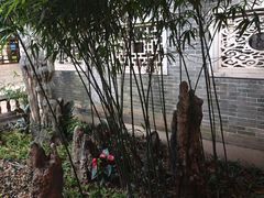-东江渔村·古典园林·30年粤菜老字号(太和店)