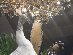 -滇野云南野生菌餐厅(陕西南路店)