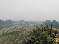 -会仙湿地