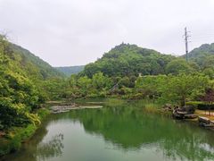 -桃花岭景区