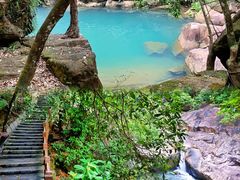 -广州白江湖森林公园