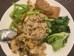 -活悦素食