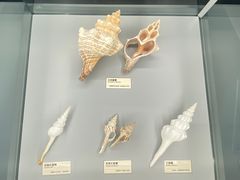 -天津古林古海岸遗迹博物馆