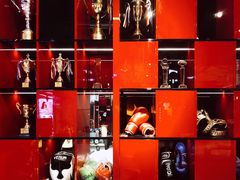 -FC格斗拳馆(东街店)