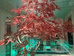 -一麦·龙岛(上海青浦店)