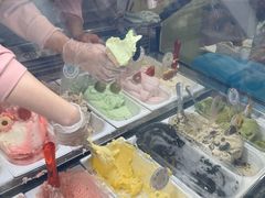 -柠檬车露(卖草地店)