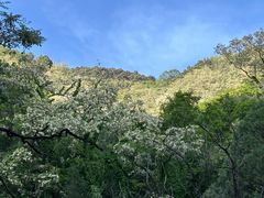 -泰山风景名胜区