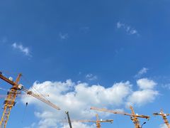 -春花秋色城市公园