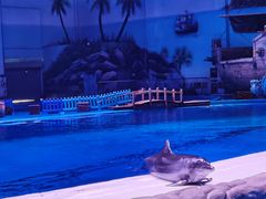 -华夏文旅海洋公园