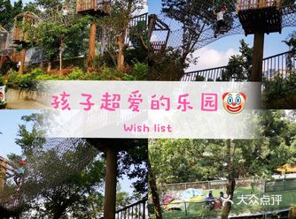 小朋友放电指南 || 可拉熊丛林探险营地