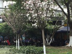 -古真记钵钵鸡(老公园店)