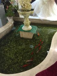 点击看大图 -全城热恋璀璨婚纱摄影(国贸总店)