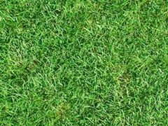 -沃美影城焕影岛LED/中国巨幕(万象汇店)