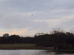 -杭州城北体育公园