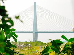 -芒洲湿地公园