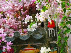 -深圳国际园林花卉博览园