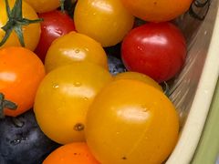 -三猫黑鱼花(南大店)