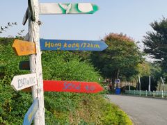 -大塘金香草谷