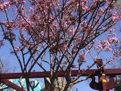 -七彩云南欢乐世界