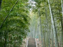 -赤水丹霞旅游区·大瀑布