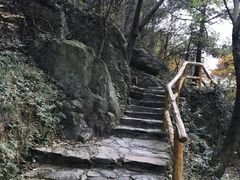 -木兰云雾山