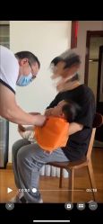 -龙文宝贝上门婴儿理发满月剃胎毛(总店)