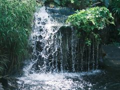 -香港海洋公园