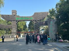 -溱湖国家湿地公园