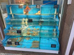 水产区-北戴河庆山饭店·海鲜砂锅粥(北戴河黑石路店)