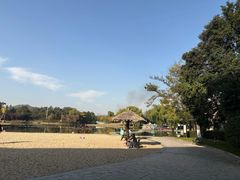 -上海佘山世茂艾美酒店