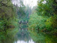 -溱湖国家湿地公园